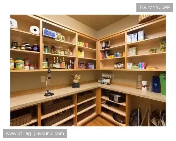 让家中空间更整洁的多足球高效收纳妙招与实用整理策略全解析指南